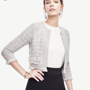 ann taylor fringe sweater